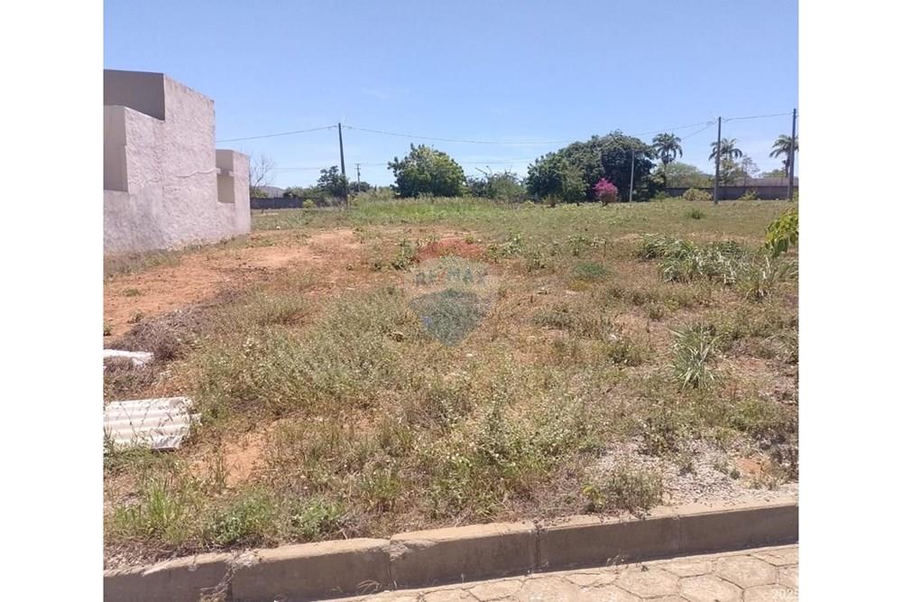 Terreno - Venda - Palmeira dos Índios , Alagoas - 0c4ac3b0-3f10-4c73-9b3c-715cba6f3632.jpg - 850271243-2