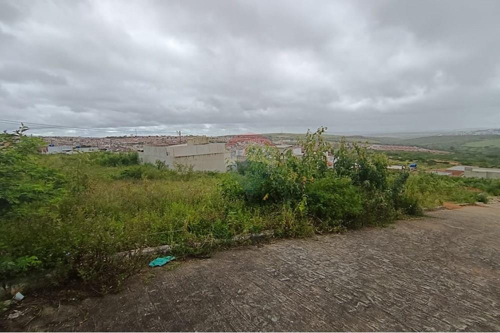 Terreno - Venda - Garanhuns , Pernambuco - WhatsApp Image 2025-10-14 at 10.45.37 (3).jpeg - 850741008-1