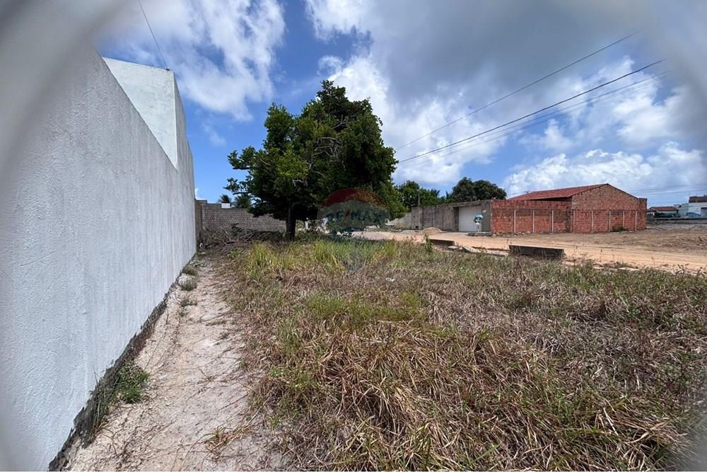 Terreno - Venda - Barra de São Miguel , Alagoas - WhatsApp Image 2026-01-22 at 07.46.16.jpeg - 850711032-24