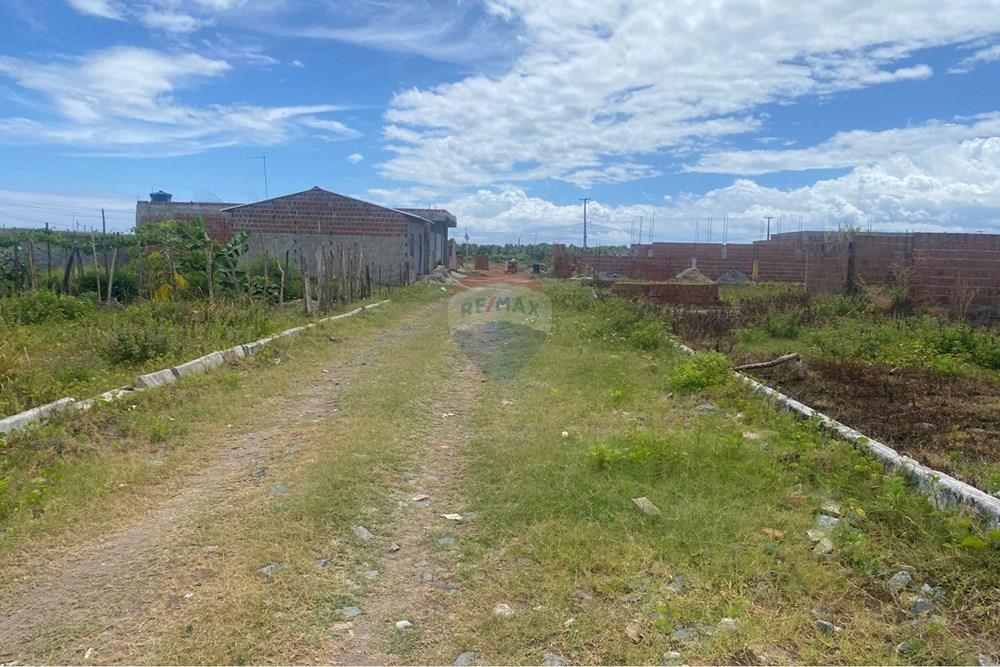 Terreno - Venda - Ipojuca , Pernambuco - WhatsApp Image 2026-02-17 at 12.37.52 (4).jpeg - 850221030-41