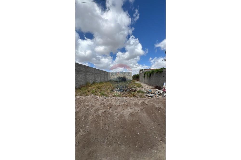 Terreno - Venda - São João , Pernambuco - WhatsApp Image 2026-02-11 at 08.53.11 (1).jpeg - 850131003-535