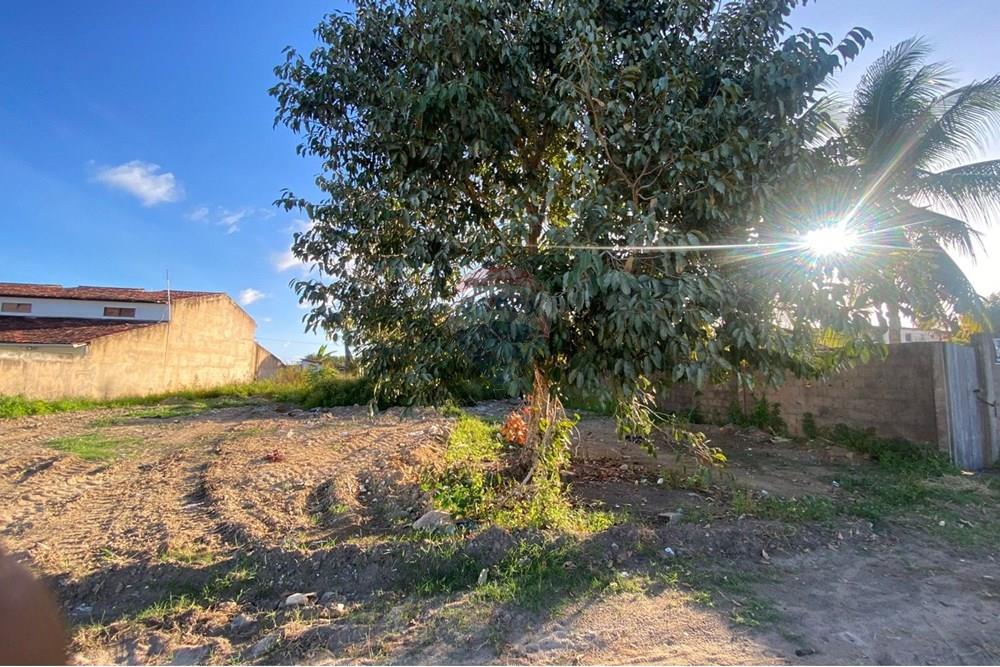 Terreno - Venda - Barra de São Miguel , Alagoas - WhatsApp Image 2025-10-29 at 15.37.36.jpeg - 850751006-5