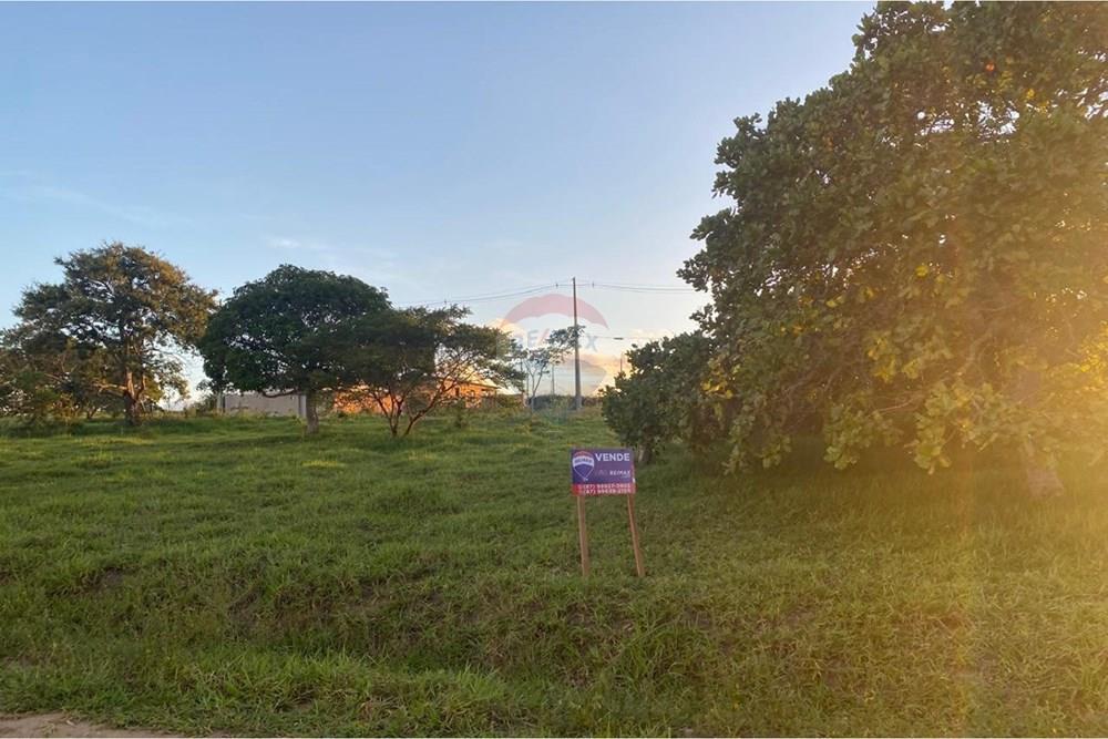 Terreno - Venda - Garanhuns , Pernambuco - WhatsApp Image 2026-03-27 at 15.40.55 (10).jpeg - 850741009-1