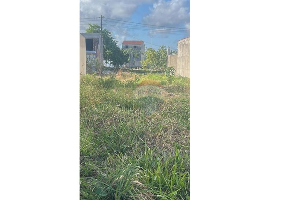 Terreno - Venda - Tamandaré , Pernambuco - WhatsApp Image 2026-01-12 at 08.41.48.jpeg - 850251097-19