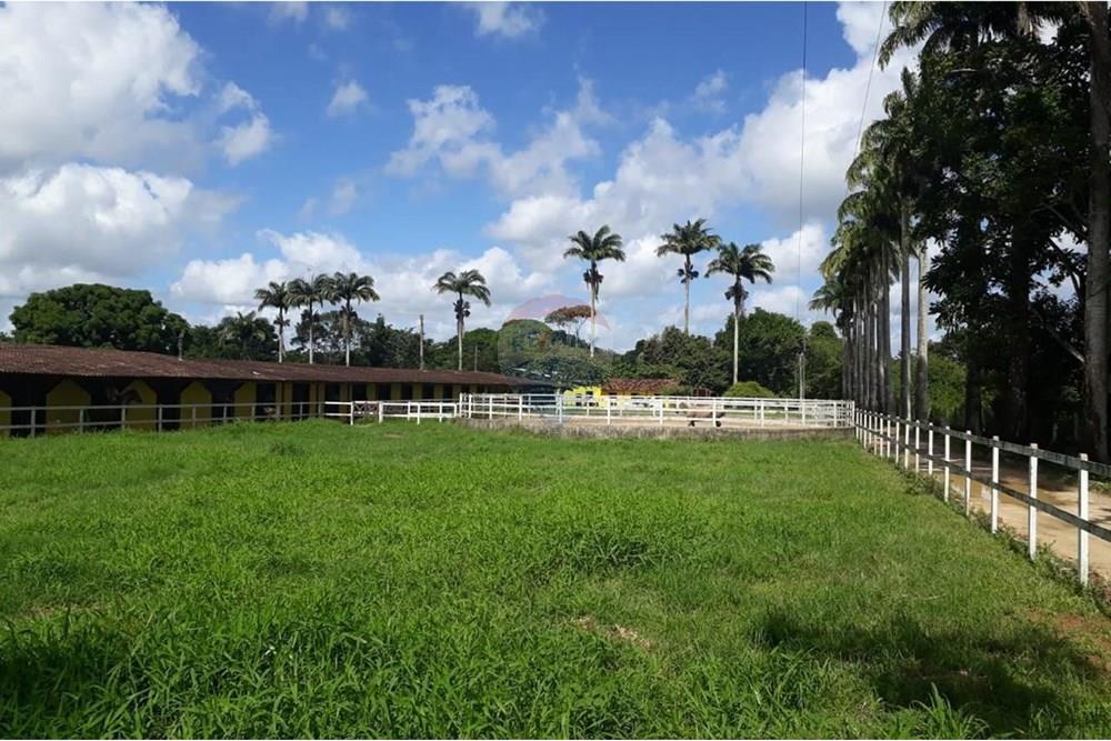Chácara / Sítio / Fazenda - Venda - Camaragibe , Pernambuco - c79feb2b-08b8-4f20-a185-b3f16bd72906 (1).jpg - 850251079-75