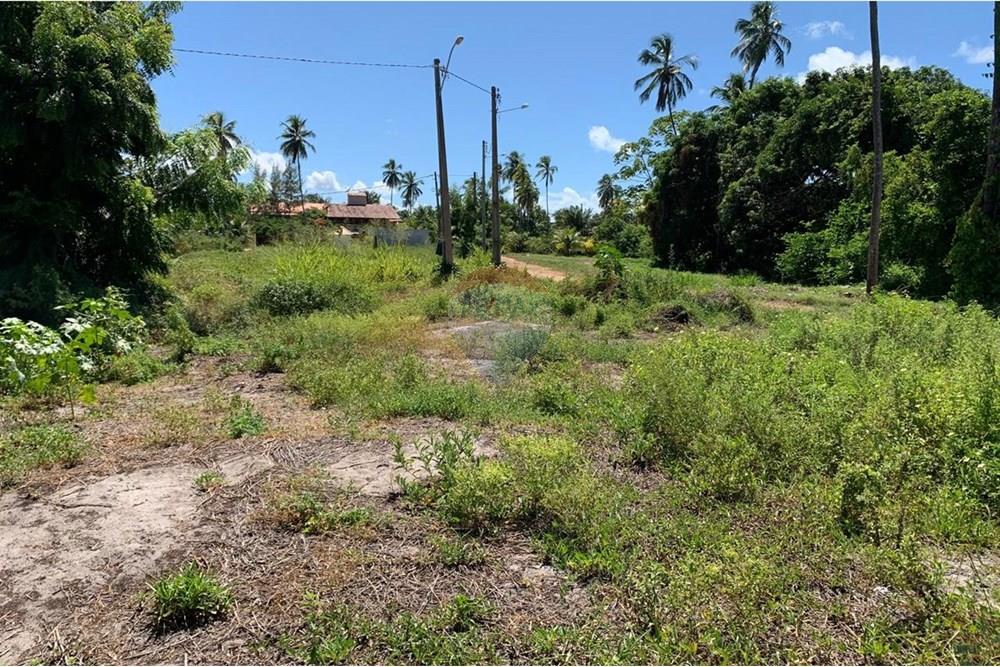 Terreno - Venda - Porto de Pedras , Alagoas - 22.jpg - 850271286-55