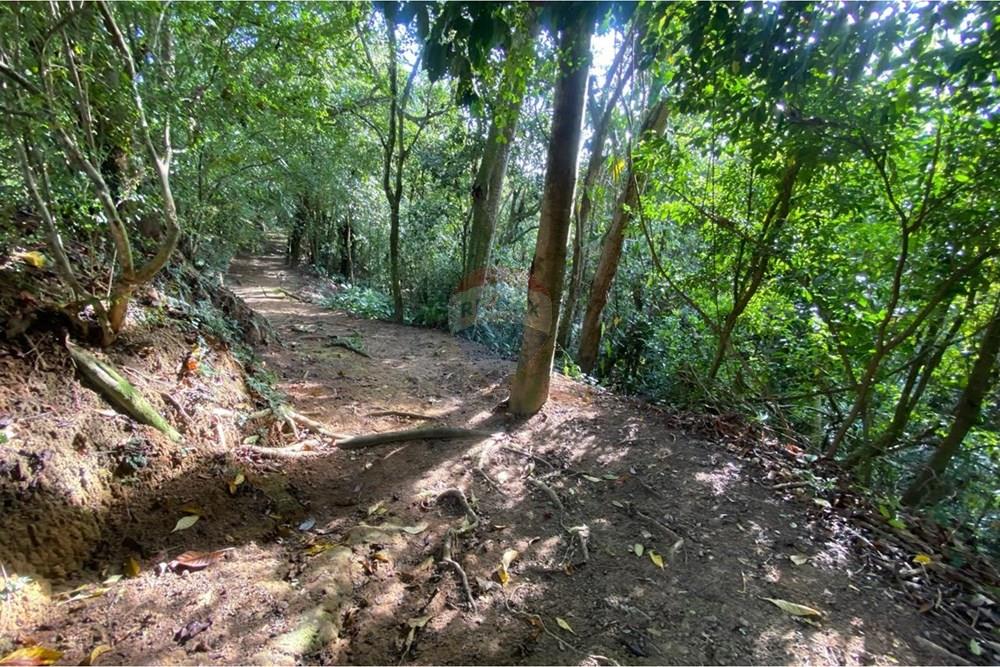 Apartamento - Alugar - Maceió , Alagoas - WhatsApp Image 2026-03-11 at 15.23.12 (2).jpeg - 850271152-78