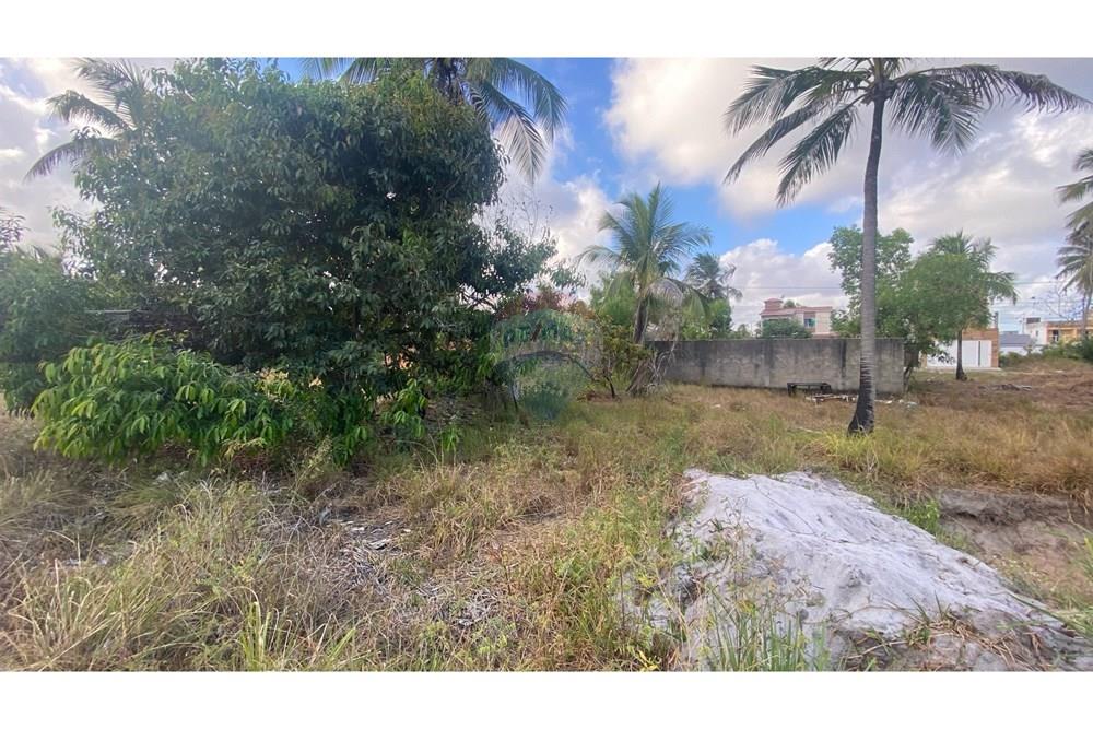 Terreno - Venda - Maragogi , Alagoas - IMG_3072.jpeg - 850271264-16