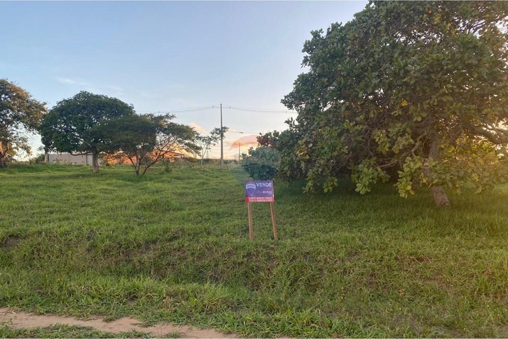 Terreno - Venda - Garanhuns , Pernambuco - WhatsApp Image 2026-03-27 at 15.40.55 (13).jpeg - 850741009-1