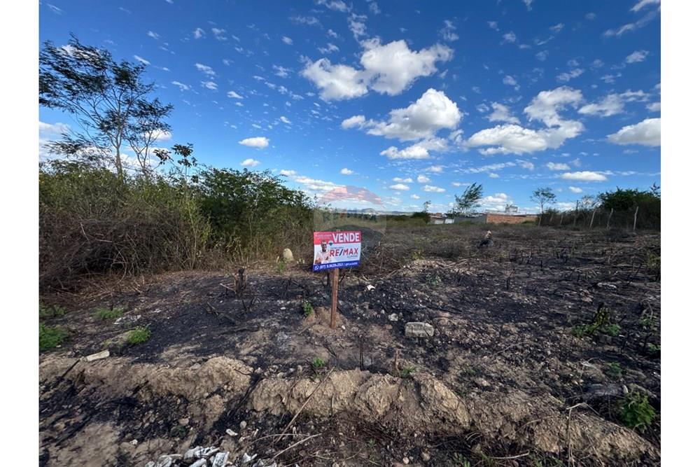Terreno - Venda - Garanhuns , Pernambuco - WhatsApp Image 2025-12-03 at 21.36.57 (6).jpeg - 850131003-523