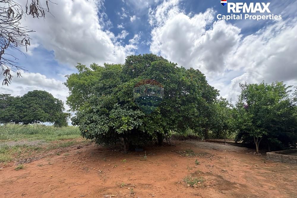 Casa de Campo - Venda - Palmeira dos Índios , Alagoas - IMG_4637.jpg - 850491058-11