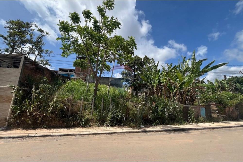 Terreno - Venda - Cabo de Santo Agostinho , Pernambuco - WhatsApp Image 2025-12-27 at 12.10.26 (1).jpeg - 850281001-61