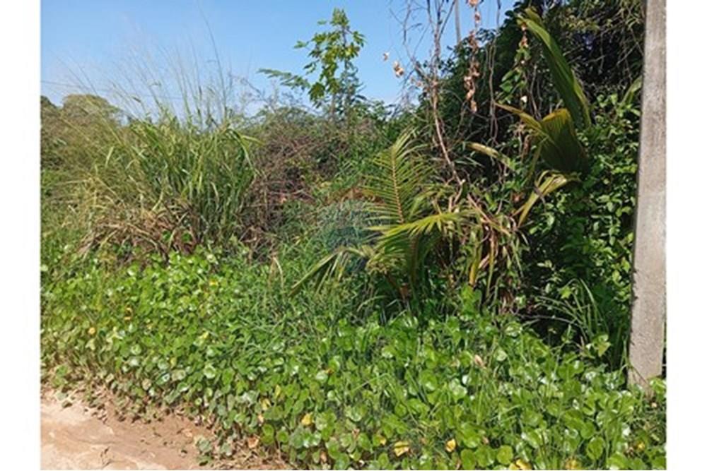 Terreno - Venda - São Miguel dos Milagres , Alagoas - L_f7f5f13e-2c9d-43f9-b9f2-ee986fe9ad4a.jpg - 850271222-10