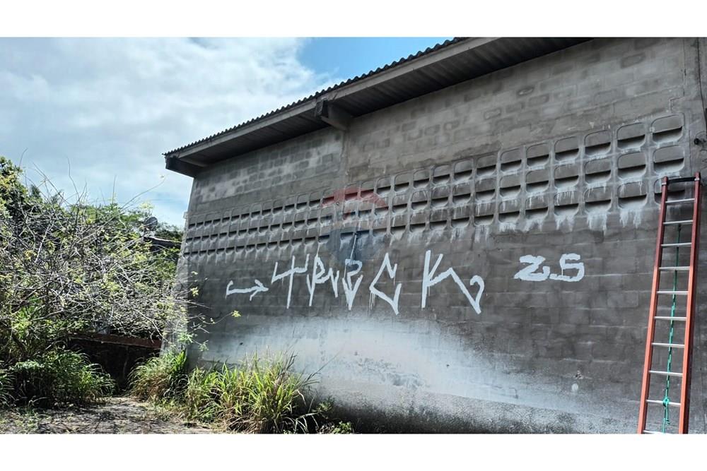 Kommersiell - Lager - Cabo de Santo Agostinho , Pernambuco - BR - WhatsApp Image 2024-11-05 at 15.13.32 (3).jpeg - 850281025-47