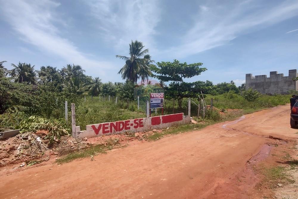 Terreno - Venda - São Miguel dos Milagres , Alagoas - IMG_20260227_112327087_HDR.jpg - 850271213-8