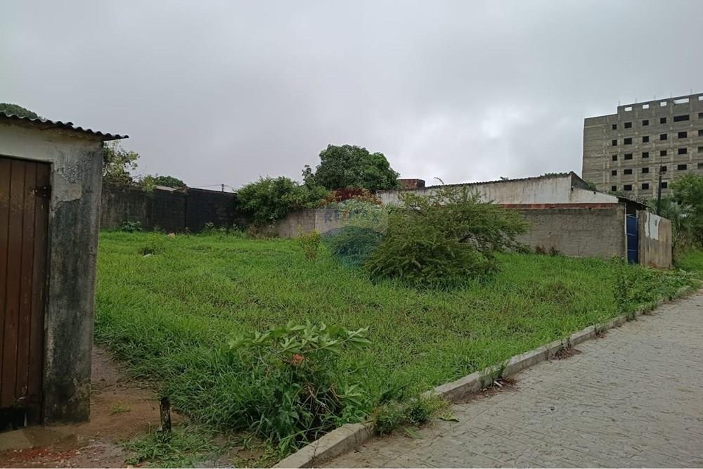 Terreno - Venda - Garanhuns , Pernambuco - WhatsApp Image 2026-03-11 at 11.09.36 (2).jpeg - 850741008-3