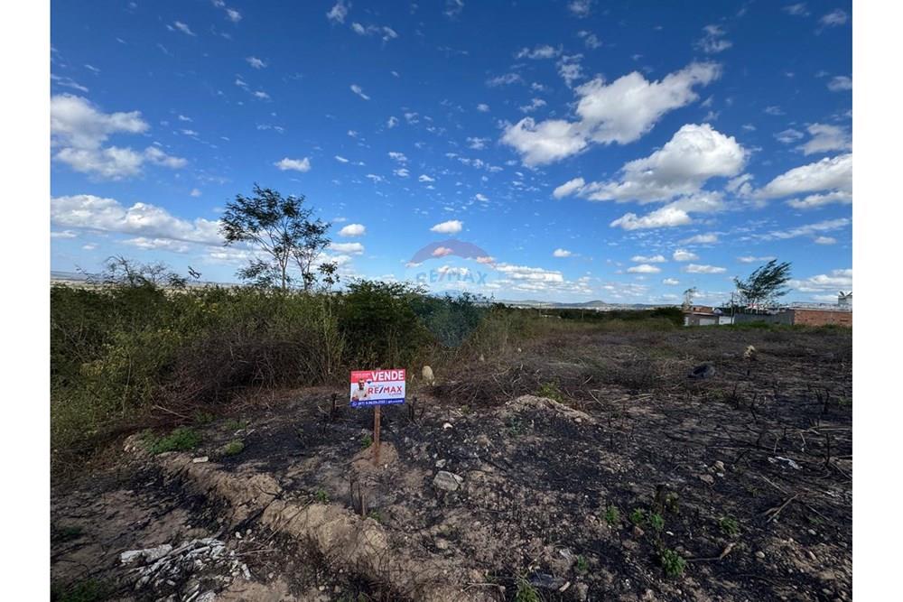 Terreno - Venda - Garanhuns , Pernambuco - WhatsApp Image 2025-12-03 at 21.36.57 (4).jpeg - 850131003-523