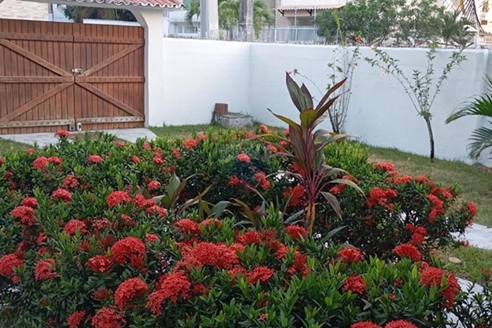 Casa - Alugar - Ipojuca , Pernambuco - 6dd0f616-90fe-4264-9188-b1a393e91432.jpg - 850221043-39