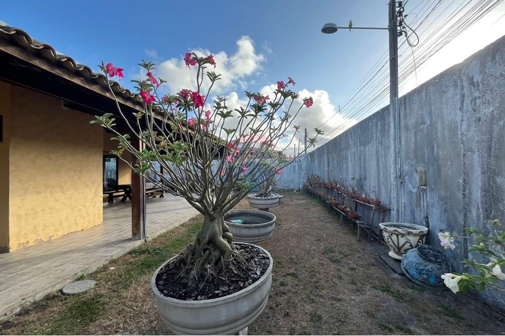 Casa - Venda - Marechal Deodoro , Alagoas - WhatsApp Image 2025-11-03 at 09.41.45 (2).jpeg - 850641045-61