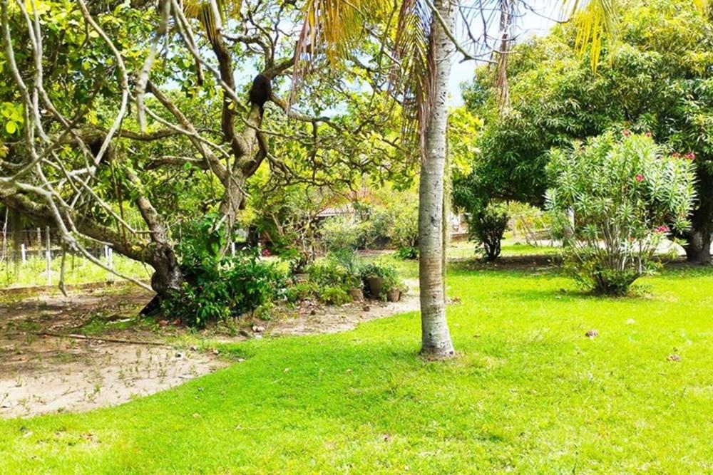 Chácara / Sítio / Fazenda - Alugar - Igarassu , Pernambuco - WhatsApp Image 2025-01-23 at 15.12.41 (2).jpeg - 850071019-200