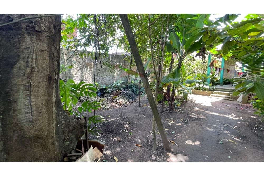 Chácara / Sítio / Fazenda - Venda - Maceió , Alagoas - e56b598e-c33f-4bec-a959-7eb33c99dcaf.jpeg - 850271147-49