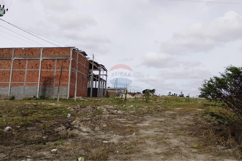 Terreno - Venda - Lajedo , Pernambuco - WhatsApp Image 2026-02-26 at 10.15.58.jpeg - 850131018-85
