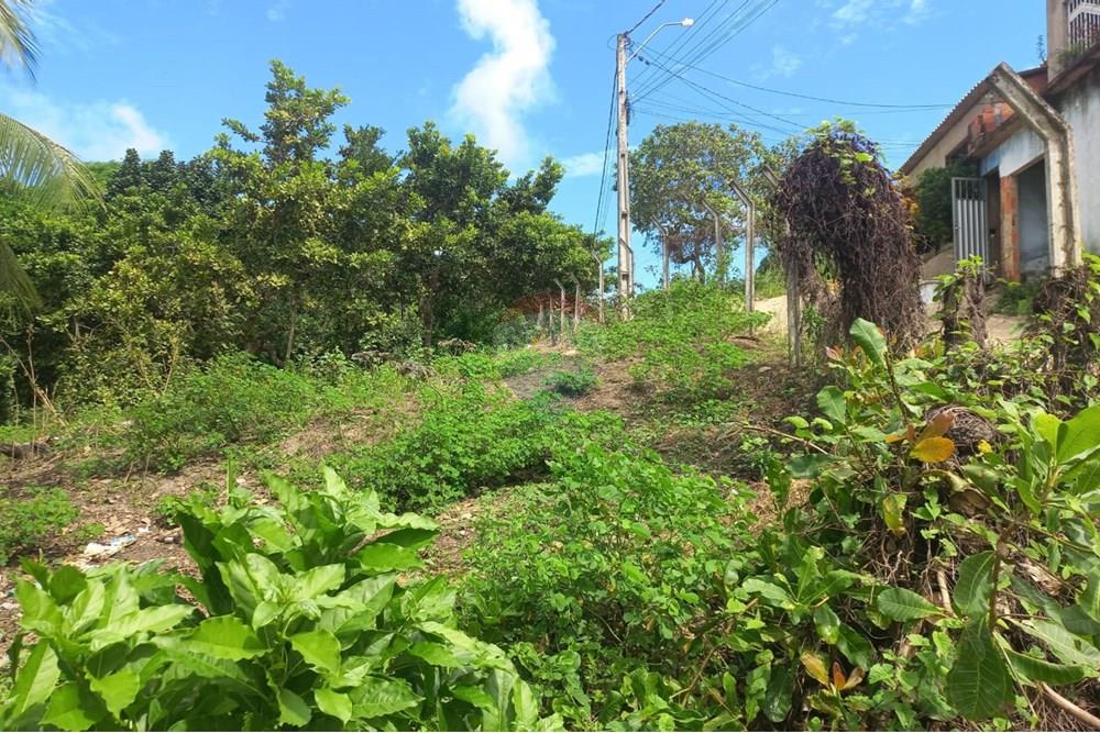 Terreno - Venda - Maceió , Alagoas - IMG-20250516-WA0007 - Copia.jpg - 850711016-38
