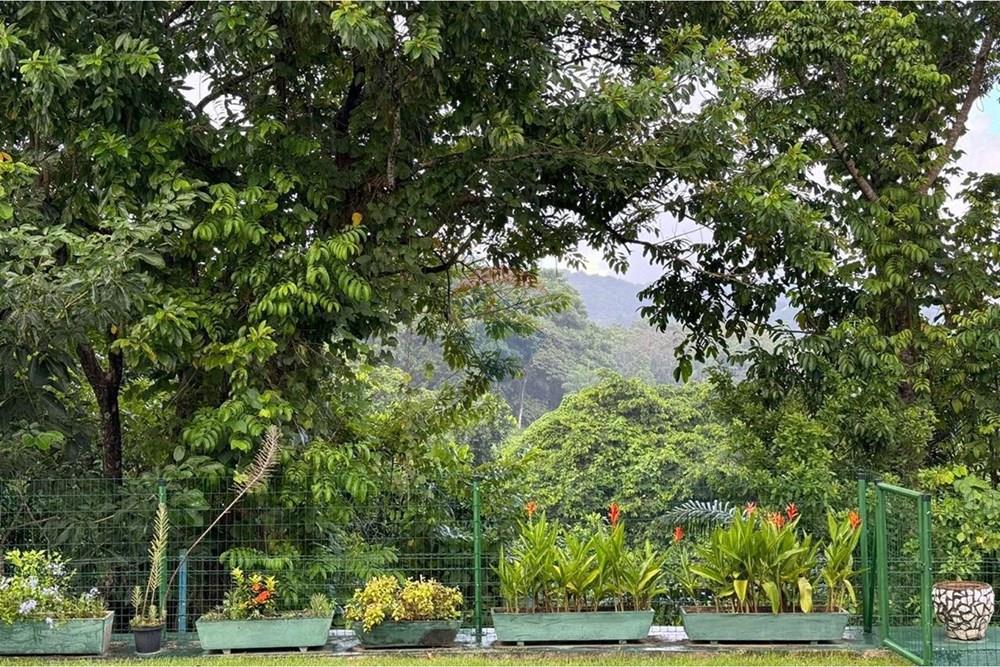 Casa - Venda - Recife , Pernambuco - ddee7d5a-289c-453f-9b6a-75d90959ce18.jpeg - 850071028-33