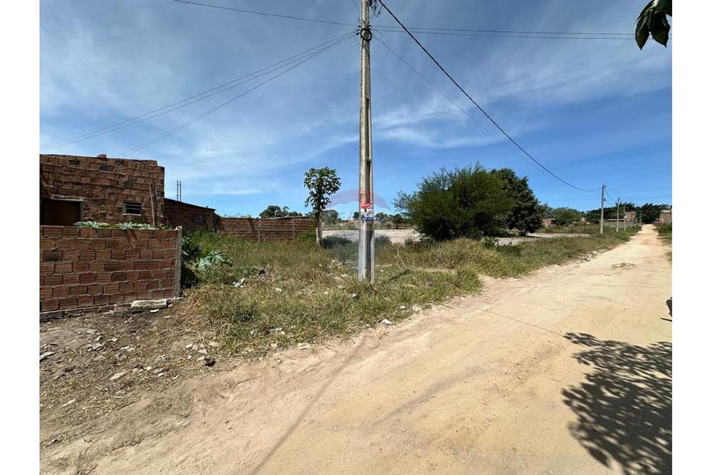 Terreno - Venda - Garanhuns , Pernambuco - WhatsApp Image 2025-05-13 at 21.24.52 (11).jpeg - 850131003-443