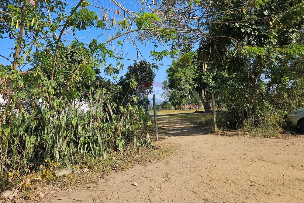 Terreno - Venda - Paudalho , Pernambuco - 20241024_150549.jpg - 850471016-73