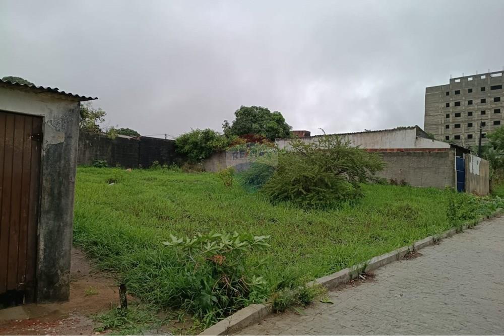 Terreno - Venda - Garanhuns , Pernambuco - WhatsApp Image 2026-03-11 at 11.09.36.jpeg - 850741008-3