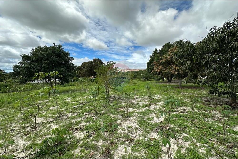Terreno - Venda - Garanhuns , Pernambuco - AREA VERDE 2 NILTON.jpg - 850741005-15