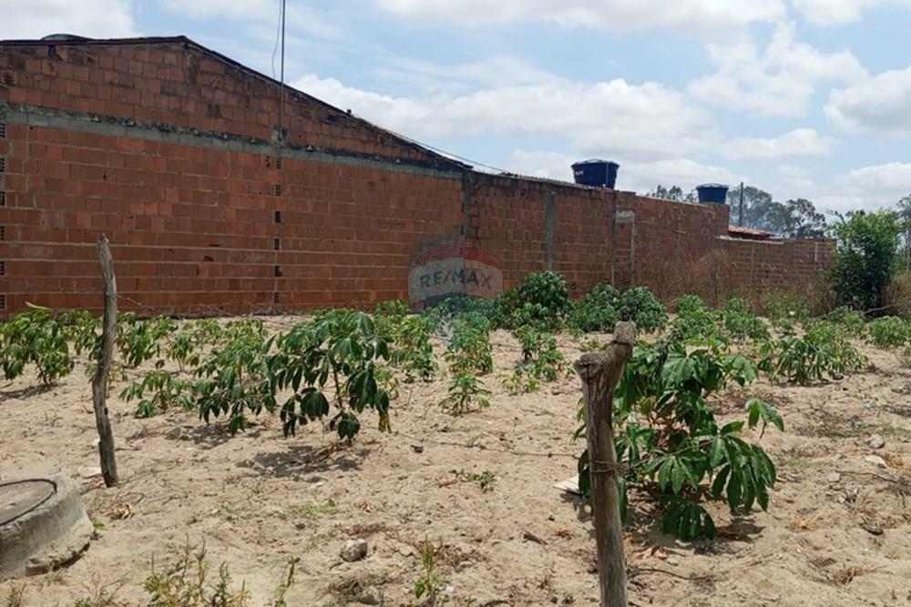 Terreno - Venda - Lajedo , Pernambuco - WhatsApp Image 2025-11-23 at 12.54.15 PM (3).jpeg - 850131012-48