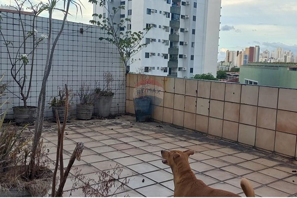 Cobertura - Venda - Recife , Pernambuco - 20260107_171252.jpg - 850071034-6