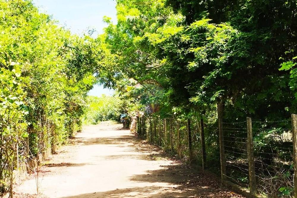 Chácara / Sítio / Fazenda - Alugar - Igarassu , Pernambuco - WhatsApp Image 2025-01-23 at 15.11.56 (2).jpeg - 850071019-200