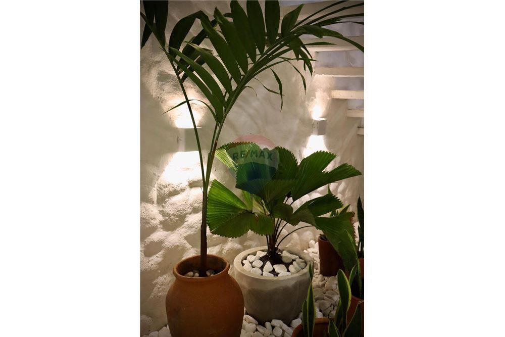 Cj. Comercial/ Sala - Alugar - Ipojuca , Pernambuco - 40 - 850221002-497