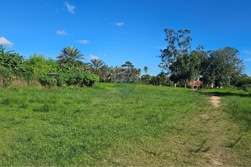 Terreno - Venda - Paudalho , Pernambuco - WhatsApp Image 2026-04-02 at 15.37.45 (4).jpeg - 850471016-87