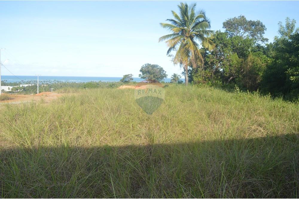 Terreno - Venda - Maragogi , Alagoas - DSC_0016.JPG - 850291008-87