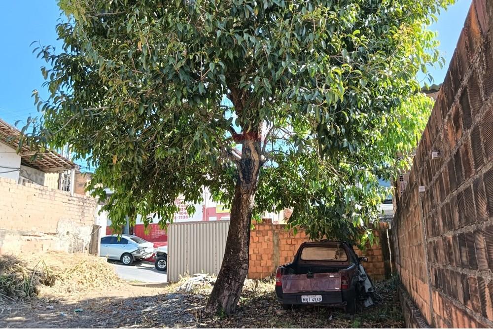 Terreno - Venda - Maceió , Alagoas - foto1.jpeg - 850271224-142