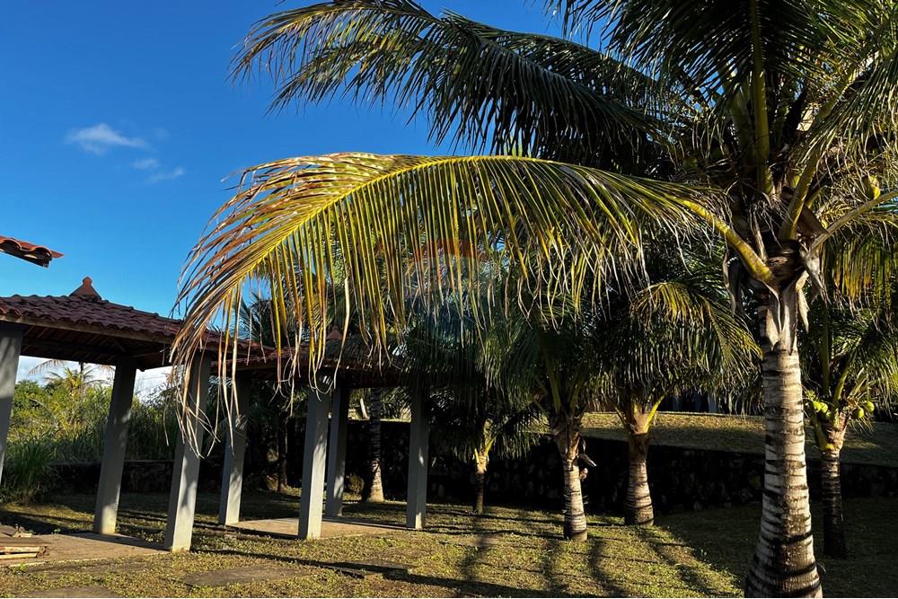 Casa - Venda - Ipojuca , Pernambuco - IMG_1480.jpeg - 850221036-9