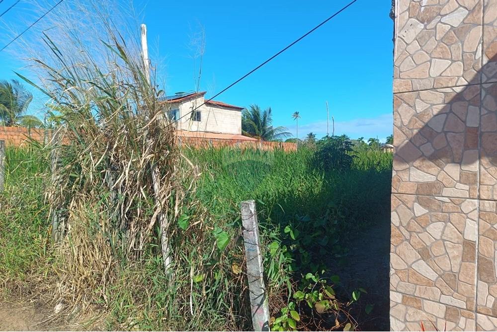 Terreno - Venda - Maceió , Alagoas - TERRENO NICAULA 3.jpg - 850141002-118