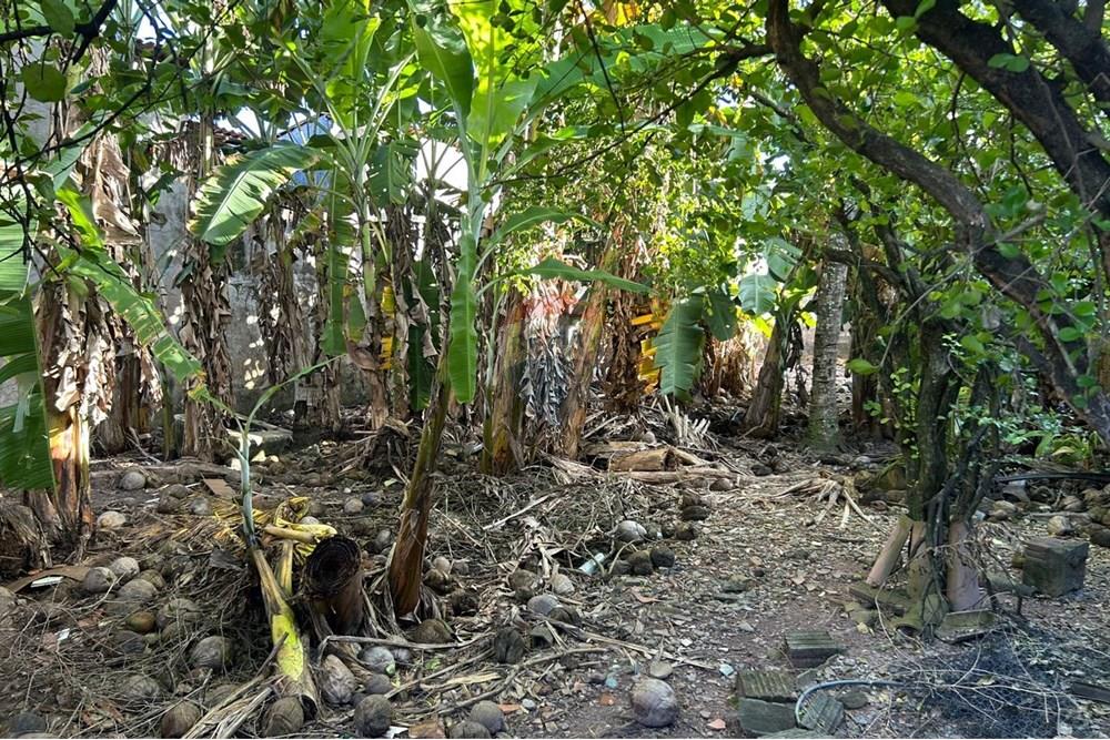 Terreno - Venda - Maceió , Alagoas - WhatsApp Image 2025-08-09 at 09.53.25.jpeg - 850271156-119