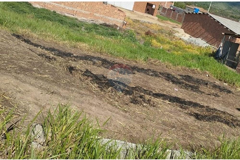 Terreno - Venda - Bonito , Pernambuco - Imagem do WhatsApp de 2025-02-25 à(s) 08.41.13_b4df171d.jpg - 850051012-94