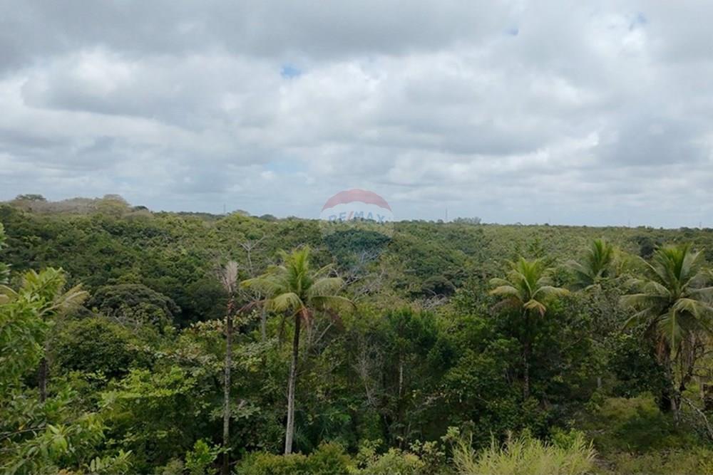Chácara / Sítio / Fazenda - Venda - Recife , Pernambuco - WhatsApp Image 2025-10-09 at 14.41.50 (5).jpeg - 850071019-216