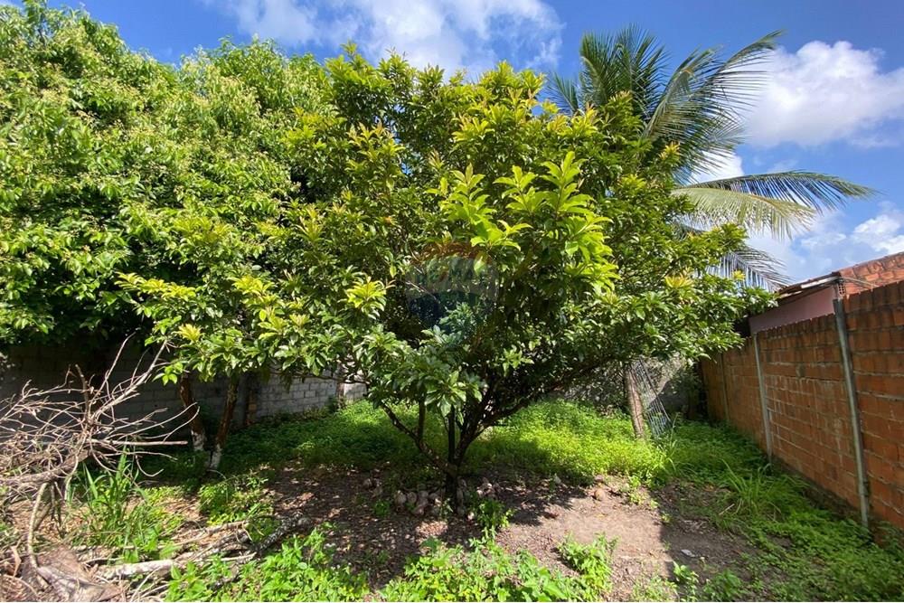 Terreno - Venda - Maceió , Alagoas - WhatsApp Image 2025-09-23 at 19.04.54 (3).jpeg - 850271154-83