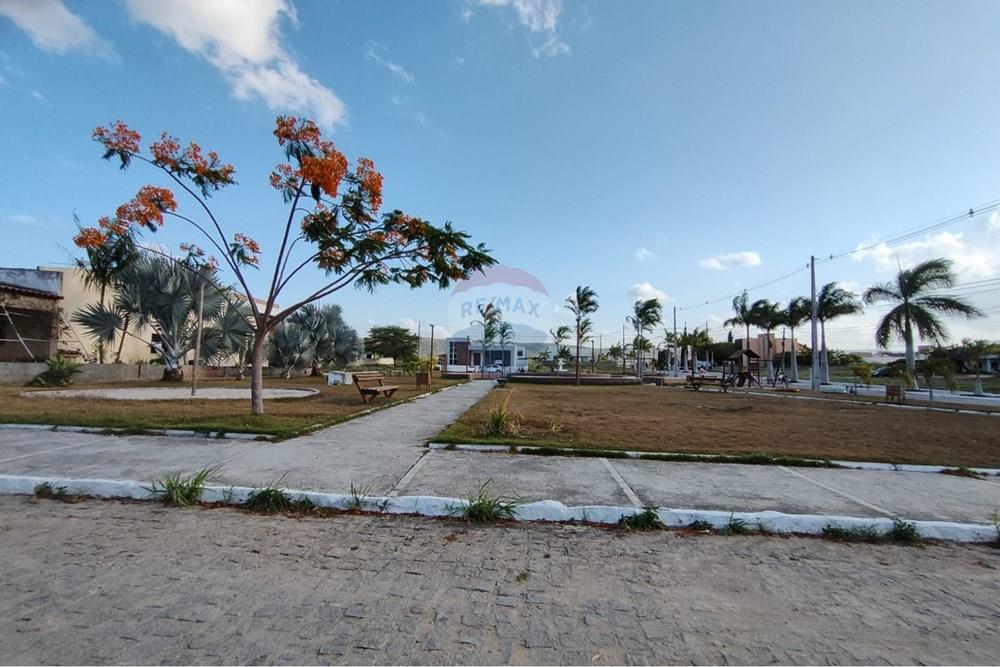 Terreno - Venda - Sairé , Pernambuco - 02164730-fcd8-4f30-9532-2da94b051453.jpg - 850501080-139