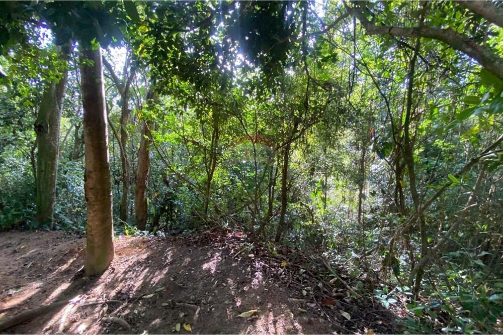 Apartamento - Alugar - Maceió , Alagoas - WhatsApp Image 2026-03-11 at 15.23.12 (3).jpeg - 850271152-78