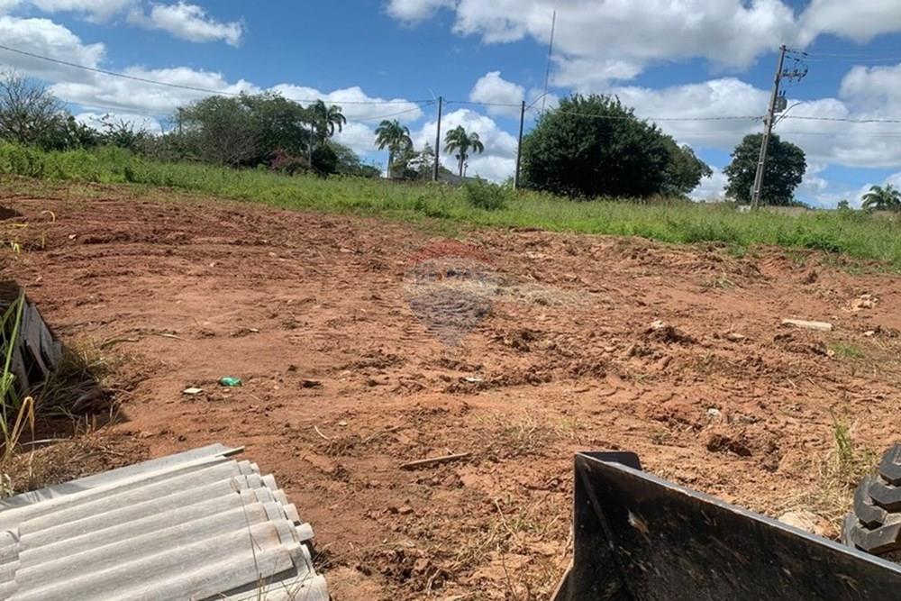 Terreno - Venda - Palmeira dos Índios , Alagoas - 652d2f9b-142e-4ba0-89e4-8776a6771fc2.jpg - 850271243-2