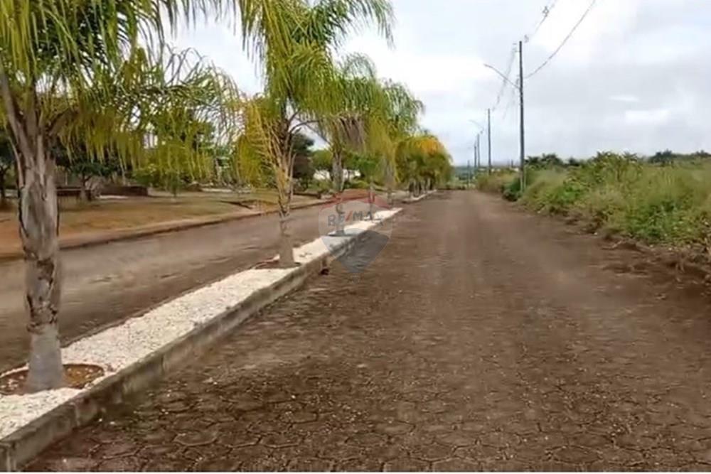 Terreno - Venda - Palmeira dos Índios , Alagoas - WhatsApp Image 2025-11-14 at 16.53.28.jpeg - 850271243-9