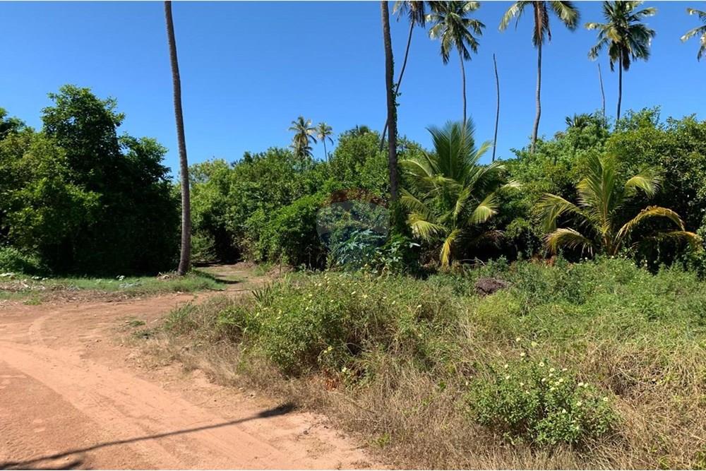 Terreno - Venda - Porto de Pedras , Alagoas - 18.jpg - 850271286-55